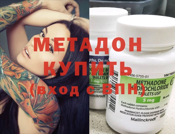 прущие грибы Дмитровск